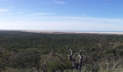 Trans-Kalahari — The Long Way